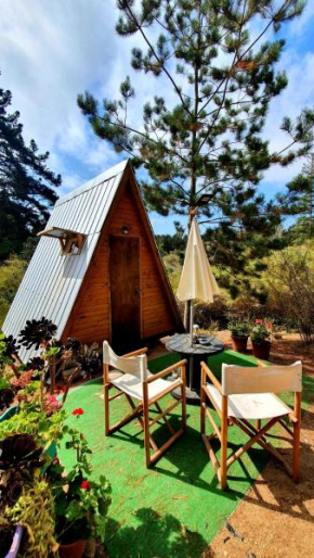Cabañita Alpina, Algarrobo